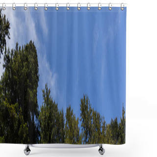 Personality  Bottom View Of Spruce Trees And Blue Sky At Background, Banner  Shower Curtains