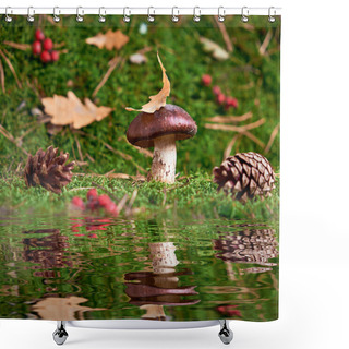 Personality  Brown Suillus Mushroom In The Forest, Nestled Among Green Moss And Reflected In The Water. A Magical Woodland Moment, Serene And Captivating. Shower Curtains