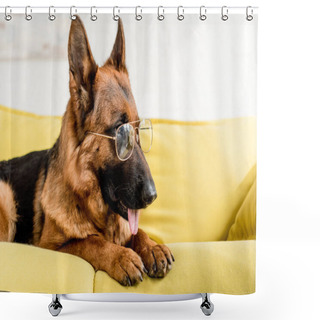 Personality  Cute German Shepherd In Glasses Lying On Bright Yellow Couch In Apartment Shower Curtains