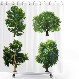 Personality  Collection Green Trees. Vector Illustration Shower Curtains