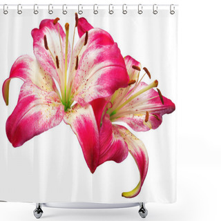 Personality  A White-pink Lily  Flowers Shower Curtains