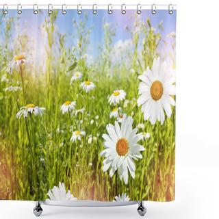 Personality  Wildflowers Daisies. Summer Landscape. Shower Curtains