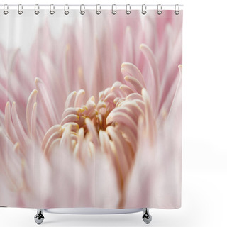 Personality  Close Up View Of Pink Chrysanthemum Isolated On White Shower Curtains