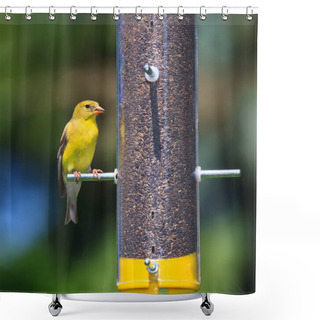 Personality  Feeding Goldfinch Shower Curtains