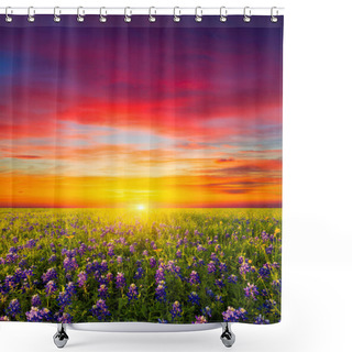 Personality  Rural Texas Bluebonnets And Sunflowers At Sunrise Shower Curtains