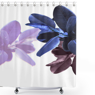 Personality  Blue And Purple Plants Shower Curtains