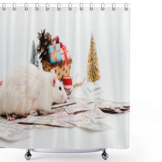 Personality  Selective Focus Of Cute Rat Near Money And Presents Isolated On White  Shower Curtains