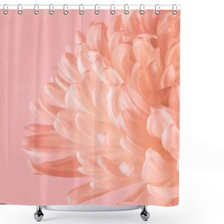 Personality  Flowering Chrysanthemum With Pastel Filter Shower Curtains