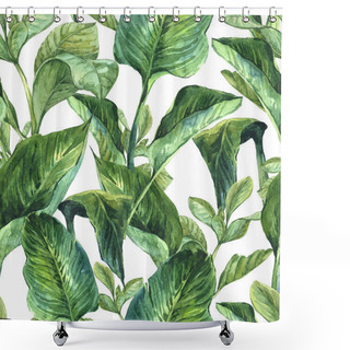 Personality  Watercolor Seamless Background With Tropical Leaves Shower Curtains