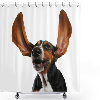 Personality  Basset With Long Flapping Ears Shower Curtains