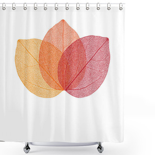 Personality  Vector Illustration With Autumn Colored Skeleton Leaves Shower Curtains