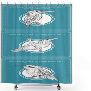 Personality  Chaffinch Bird. Vector Illustration For Great Encyclopedia Of Birds And Animals Shower Curtains