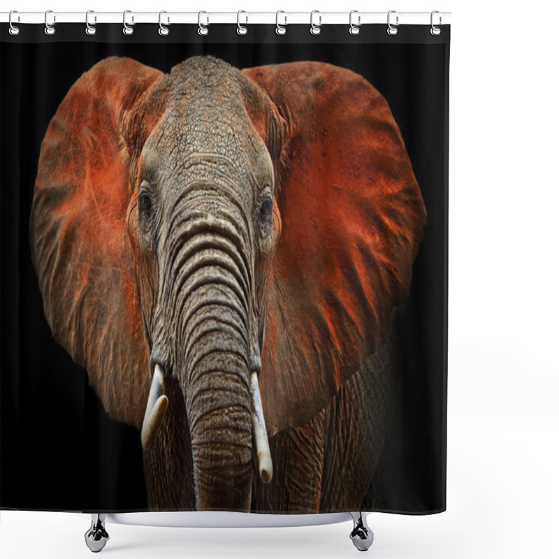 Personality  Elephants Of Tsavo Shower Curtains
