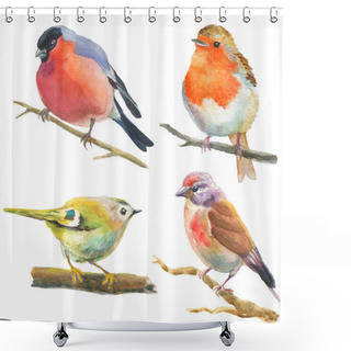 Personality  Set Of Watercolor Birds Isolated On White. Bullfinch, Robin, Other Small Birds Sitting On Twigs Hand Drawn Illustration Shower Curtains