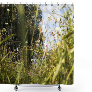 Personality  The Wild Grass Meadow In Sunny Weather Shower Curtains