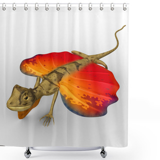Personality  Flying Lizard Shower Curtains