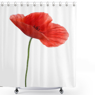 Personality  Single Poppy Shower Curtains