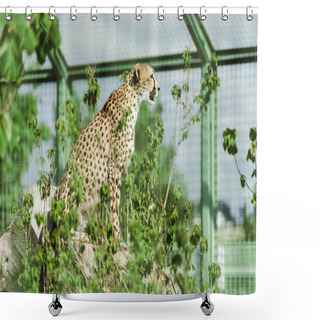 Personality  Selective Focus Of Wild Leopard Sitting Near Green Plants In Zoo  Shower Curtains