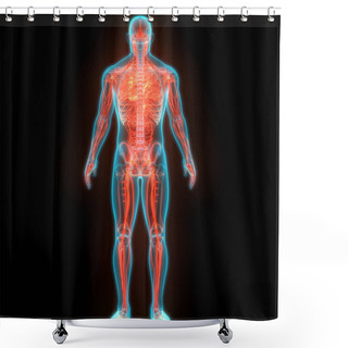 Personality  Human Digestive System Anatomy. 3D Shower Curtains