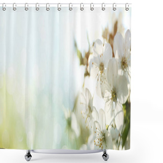 Personality  Blossoming Cherry Tree, Closeup Shower Curtains