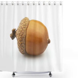 Personality  Dried Acorn Shower Curtains