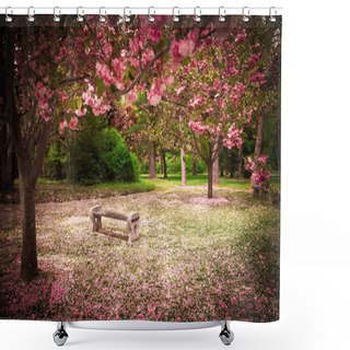 Personality  Cherry Blossoms And Bench Shower Curtains
