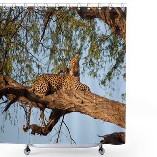 Personality  Leopard Shower Curtains
