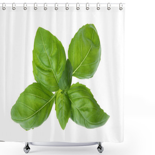 Personality  Fresh Basil Shower Curtains