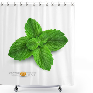 Personality  Vector Fresh Mint Leaves On A White Background Shower Curtains