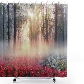 Personality  Alpine Autumn In Gorgany Shower Curtains