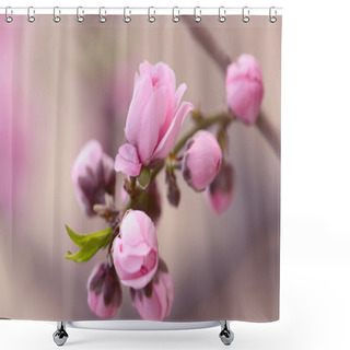 Personality  Cherry Buds Shower Curtains