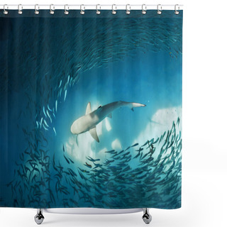 Personality  Shark And Small Fishes In Ocean Shower Curtains