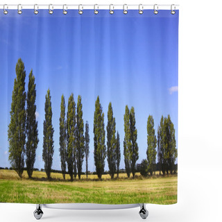 Personality  Poplar Trees Shower Curtains