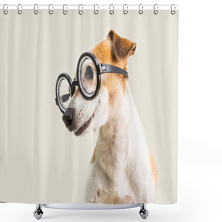 Personality  Smart Funny Dog In Glasses Lookoing To Side. Well Educated Back To School Theme Shower Curtains