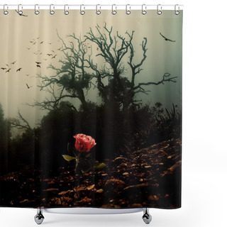 Personality  Red Rose Growing Through Soil Against Spooky Tree Shower Curtains