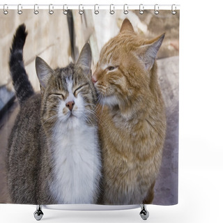 Personality  Love Couple Of Cats Shower Curtains