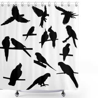 Personality  Parrots Shower Curtains