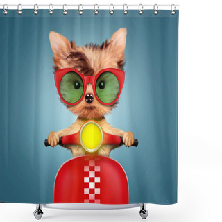 Personality  Adorable Puppy Sitting On A Motorbike Shower Curtains