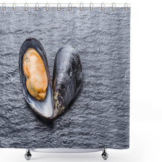 Personality  Mussel On The Graphite Background. Shower Curtains