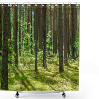 Personality  Green Dense Forest Shower Curtains