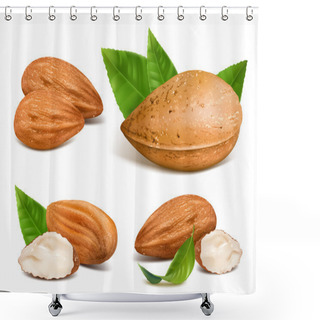 Personality  Almonds With Kernels Shower Curtains
