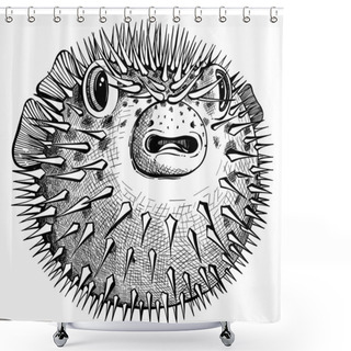 Personality  Vector Graphic Drawing. Exotic Puffer Fish Of A Round Shape Drawn By A Dashed Line By Hand. Shower Curtains