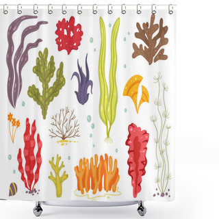 Personality  Vector Seaweed Icons Isolated On Whire. Sea Coral And Underwater Marine Plants. Chlorella, Spirulina, Fucus And Outher Icons. Shower Curtains