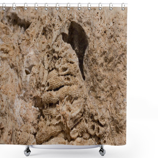 Personality  Fossil Corals Of The Red Sea. Ancient Creatures, Turned Into Stone. Reef Corals. Shower Curtains