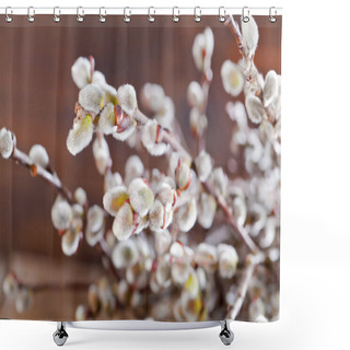 Personality  Easter Greeting Card With Pussy Willow Bunch Over Wooden Background. Shower Curtains