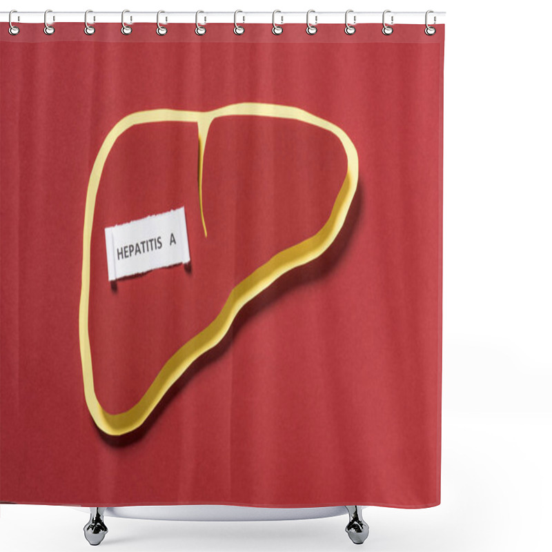 Personality  Top View Of Liver And Lettering Hepatitis A On Red Background, World Hepatitis Day Concept Shower Curtains