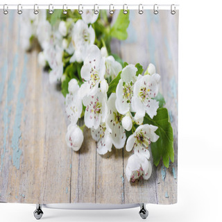 Personality  Crataegus Commonly Called Hawthorn, Thornapple On Wooden Table Shower Curtains