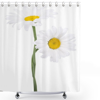 Personality  Daisy Shower Curtains