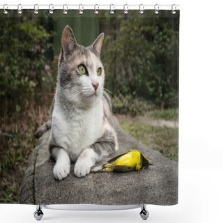 Personality  Calico Cat With Recently Killed Yellow Hooded Warbler Bird Shower Curtains