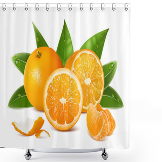 Personality  Vector Fresh Ripe Oranges Shower Curtains
